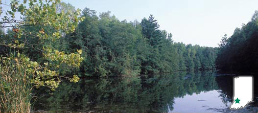 GREENE-SULLIVAN STATE FOREST