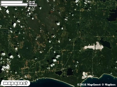 Seney Manistique Swamp