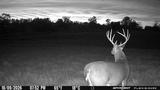 Affordable and Exclusive 2-Week (16 day) Kentucky Modern Gun Season Block on The Bourbon Trail New Terms: Up to 7 Hunters