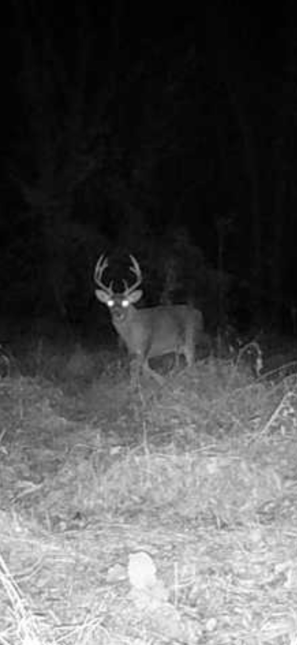 Hunting Camp Looking For 2 Members
