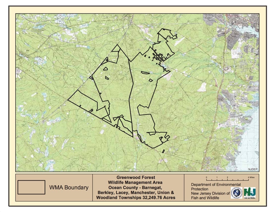 Greenwood Forest Wildlife Management Area