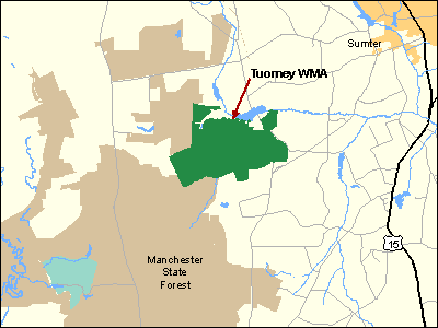 Tuomey Tract Dove Field, Manchester State Forest (MSF) WMA
