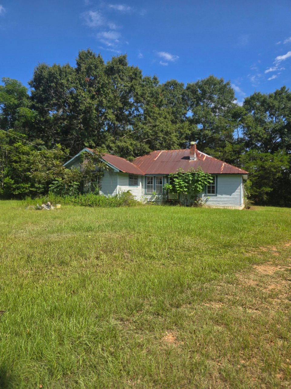 30 acres - Dozier , Alabama