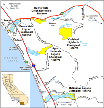 Buena Vista Creek Ecological Reserve