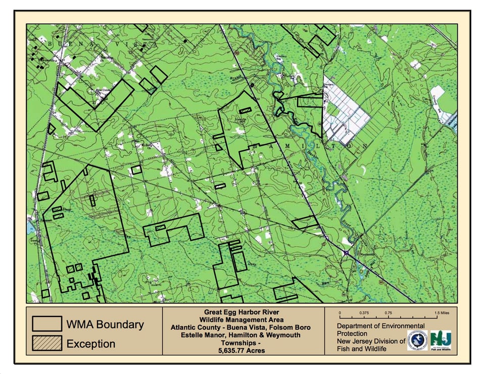 Great Egg Harbor River Wildlife Management Area - Hamilton