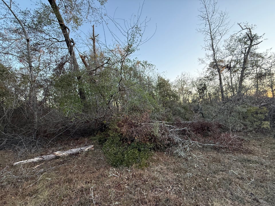 Hunting land available in Madison Co.
