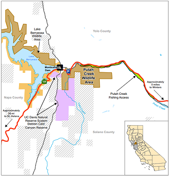 Putah Creek Wildlife Area