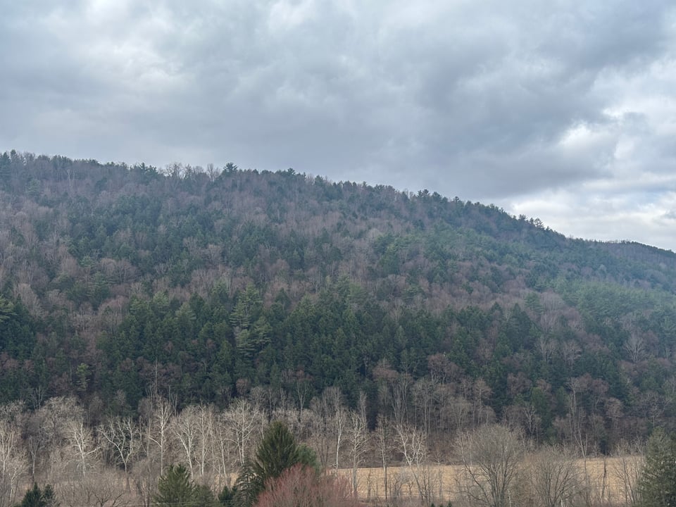 Beautiful. 50 in Steuben, New York