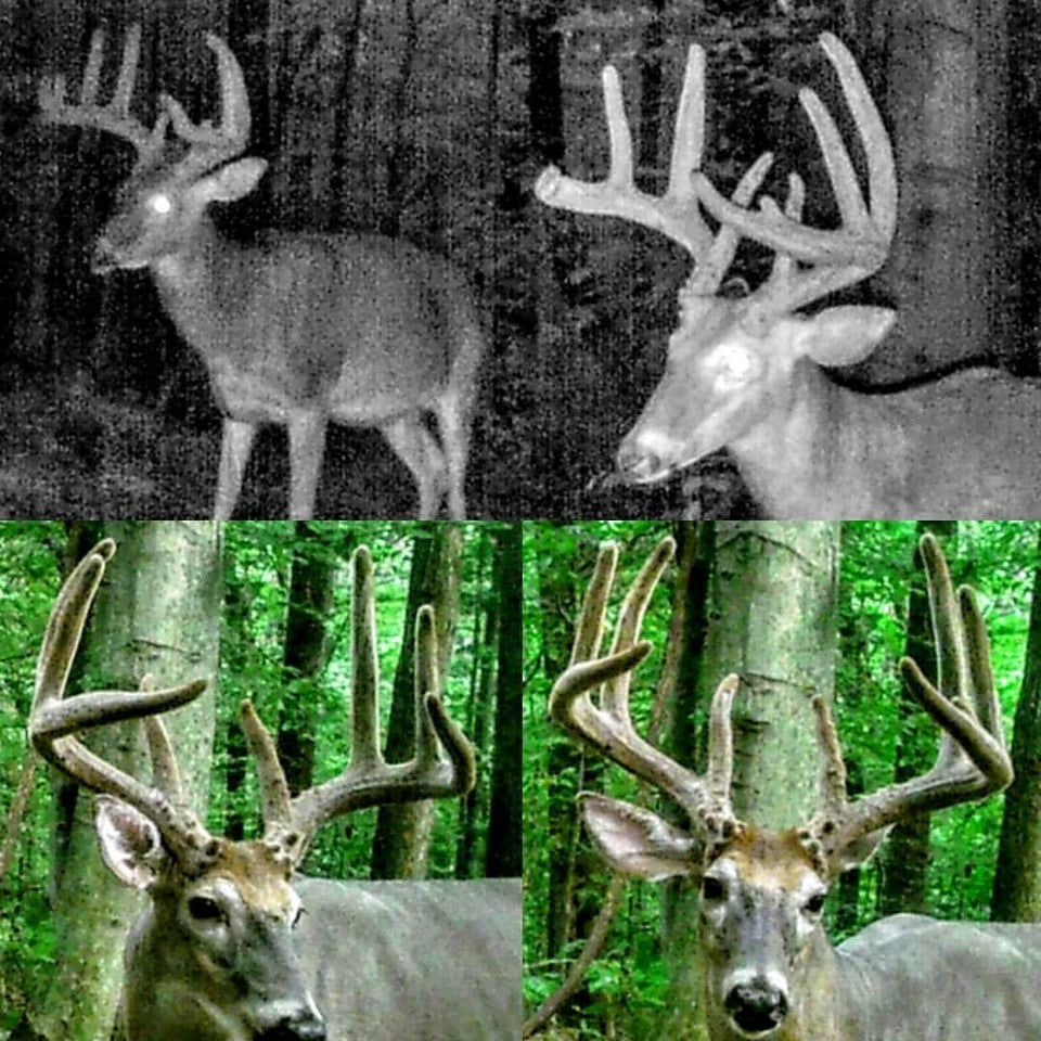 Hunting land - 260 acres, Tell City, Indiana