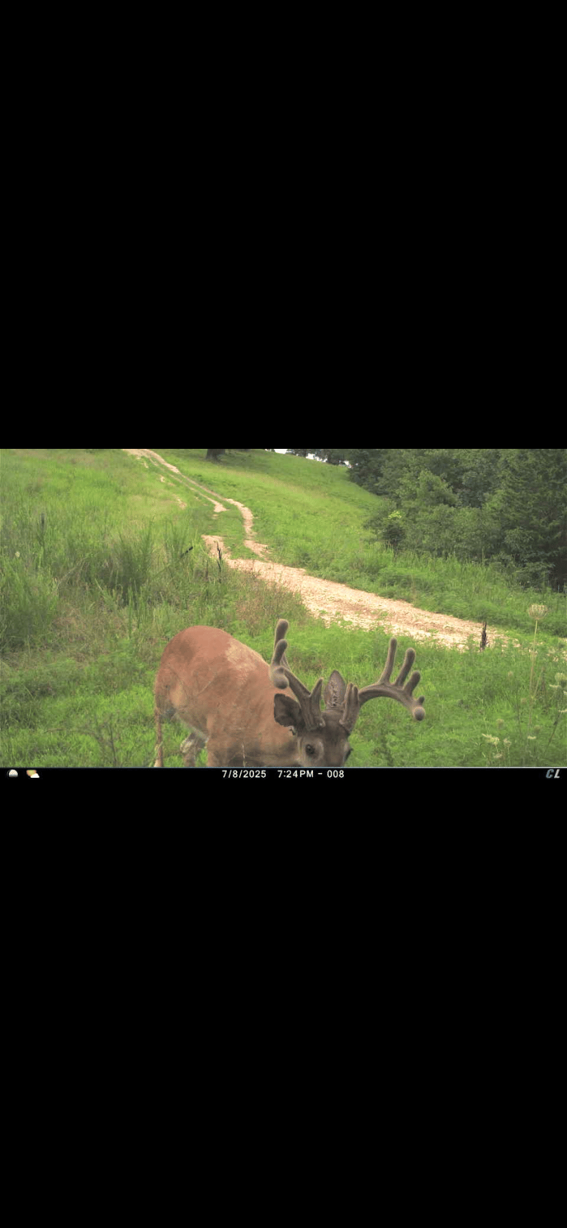 Hunting land available in Christian Co.