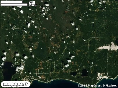 Seney Manistique Swamp