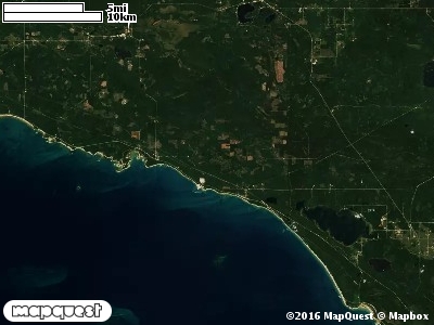Carp River Red Pine