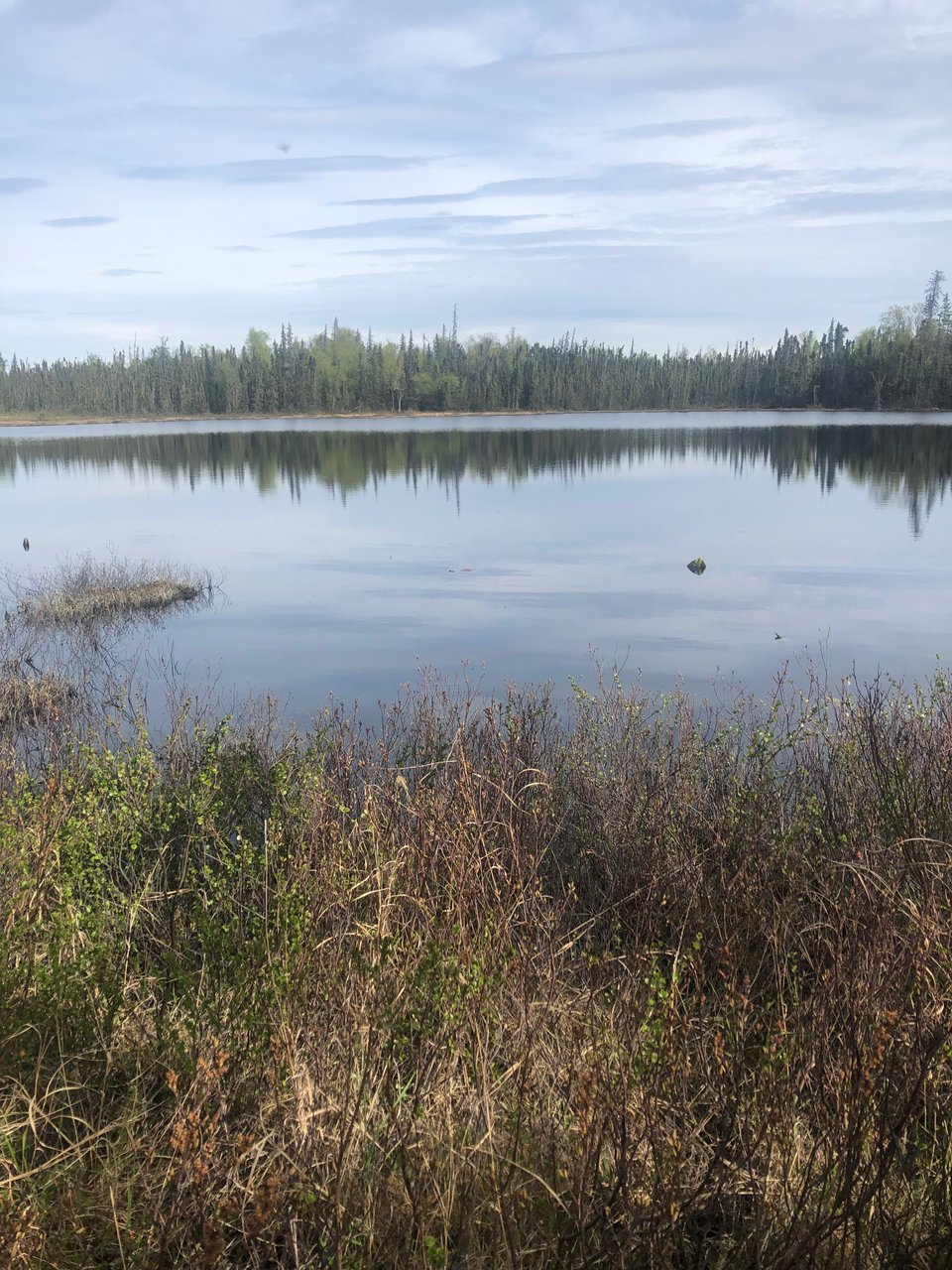 Great opportunity Kenai Peninsula, Alaska