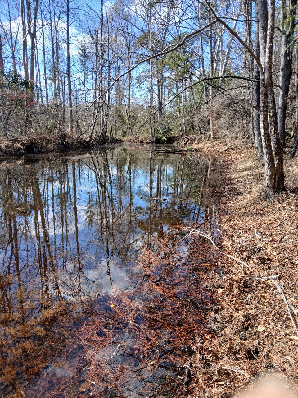 Sandersville  hunting land for lease