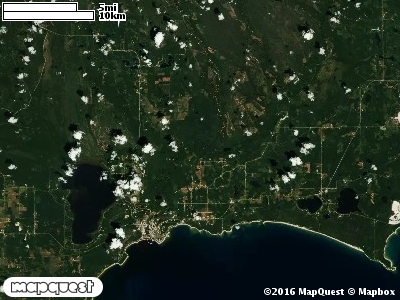 Seney Manistique Swamp