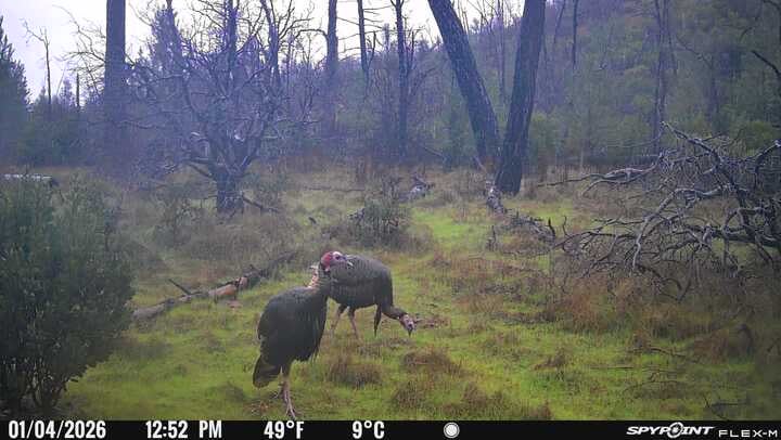 Hunting land - 123 acres, Minneapolis, Minnesota
