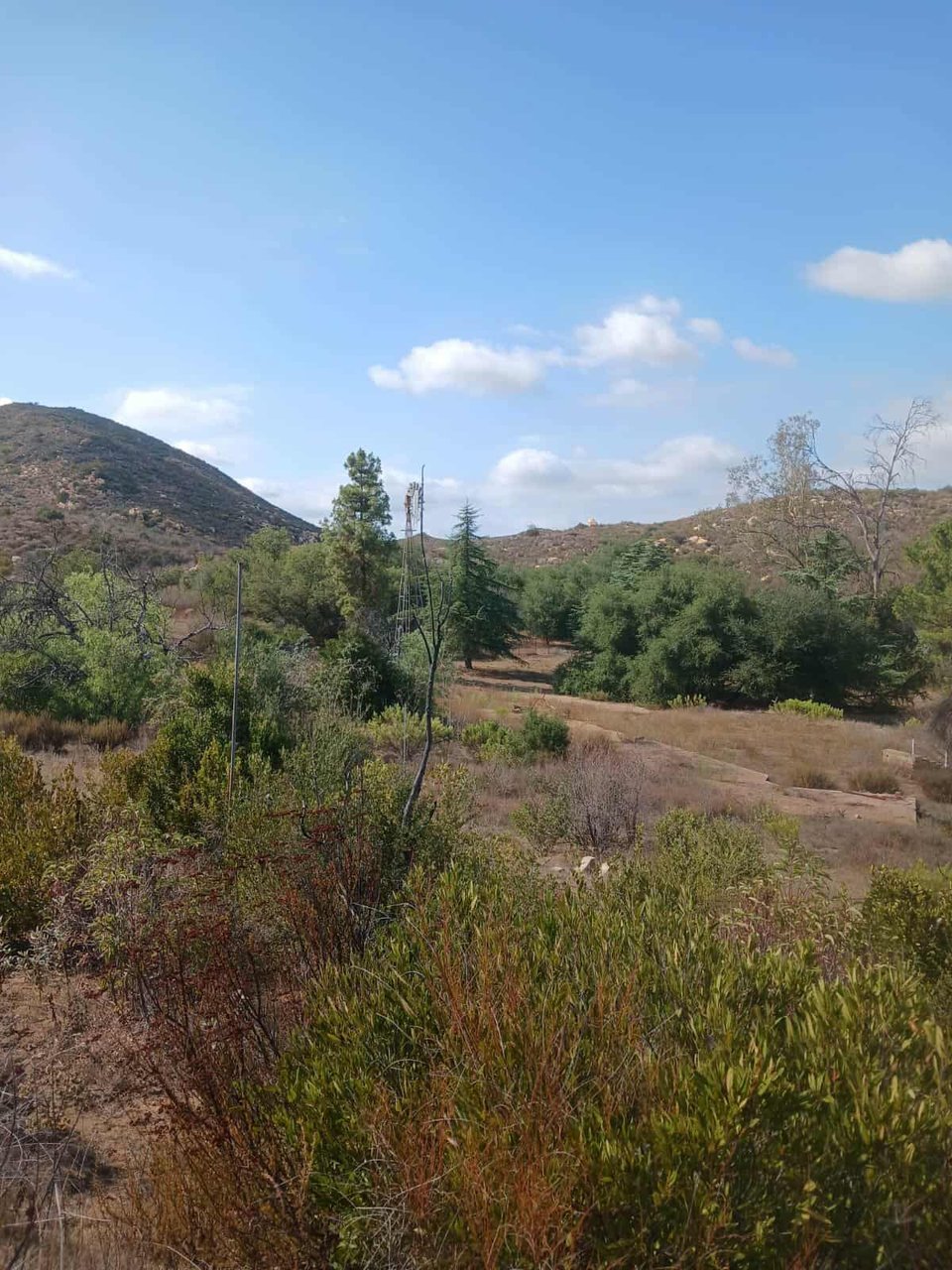 Available 230 acres Boulevard , California