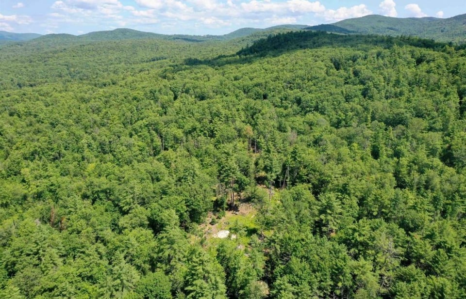 Prime Private Hunting Access | Staging Ground to 1,000+ Acres