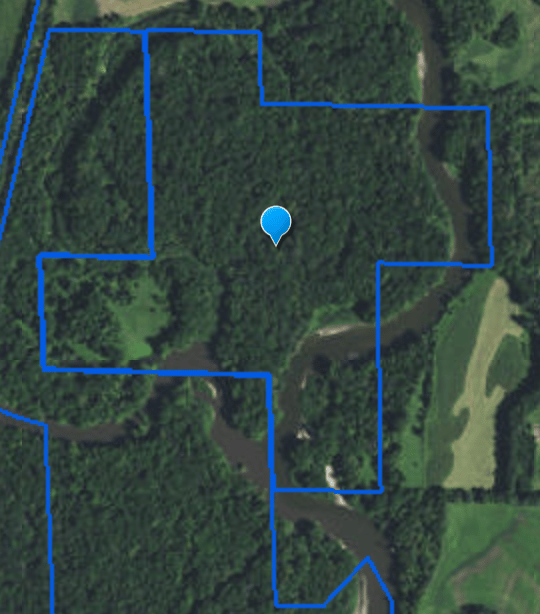 FISHER FOREST