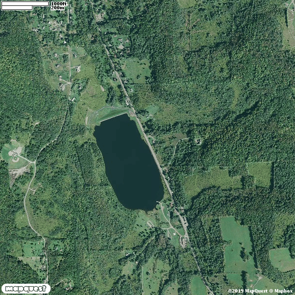 Tioga State Forest