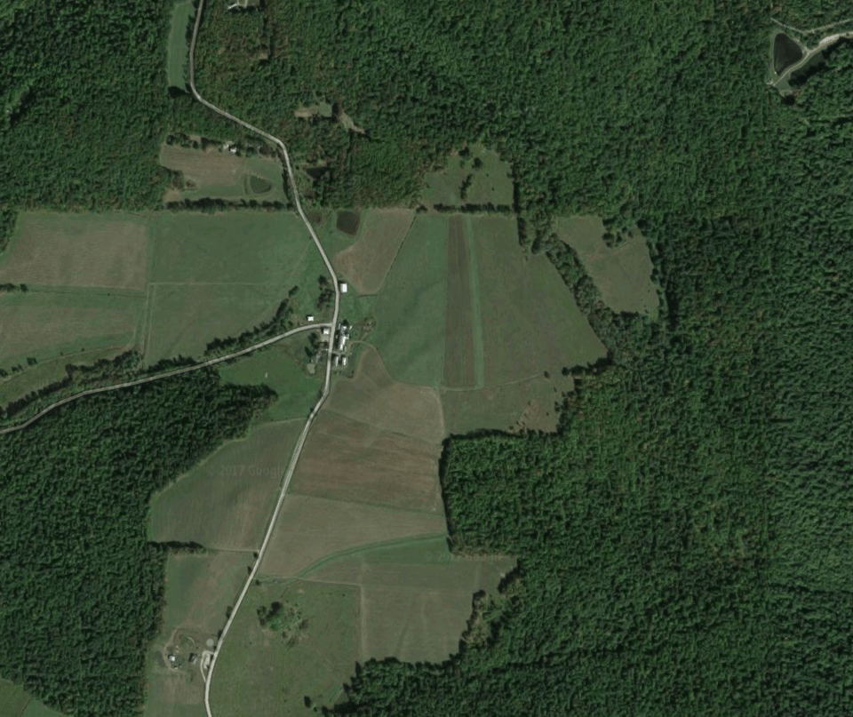 Tioga Co Hunting Land