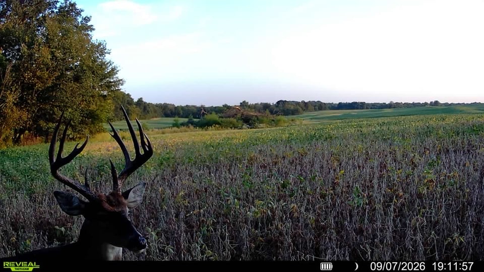 Hunting in Missouri