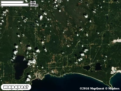 Seney Manistique Swamp