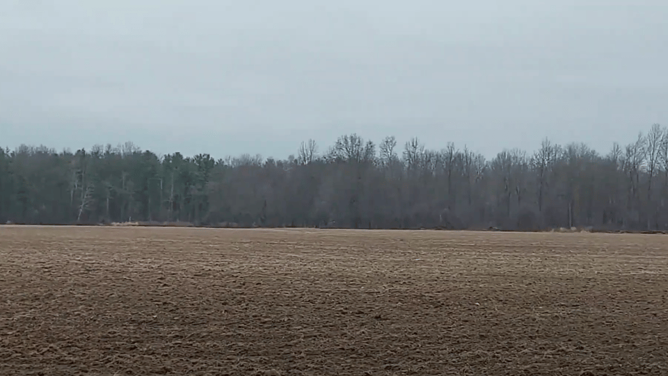 Excellent hunting opportunity Mahoning, Ohio
