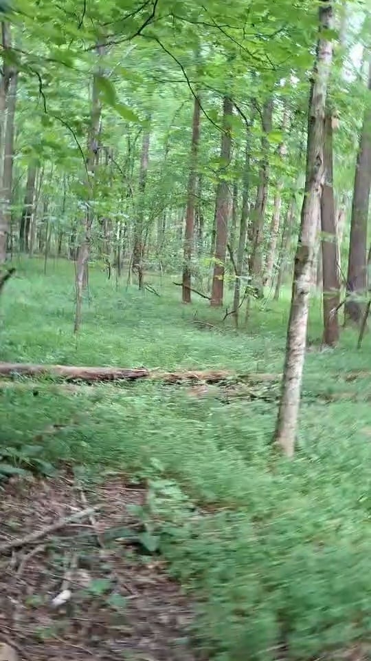 Hunting land available in Hopkins Co.