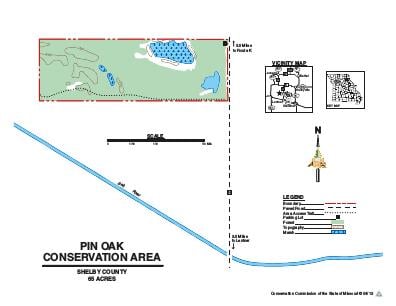 Pin Oak CA