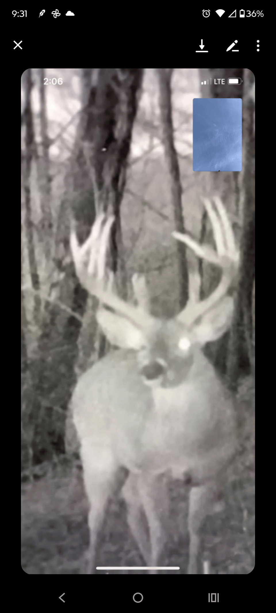 Hunting land available in Washington Co.