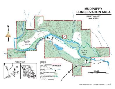 Mudpuppy CA