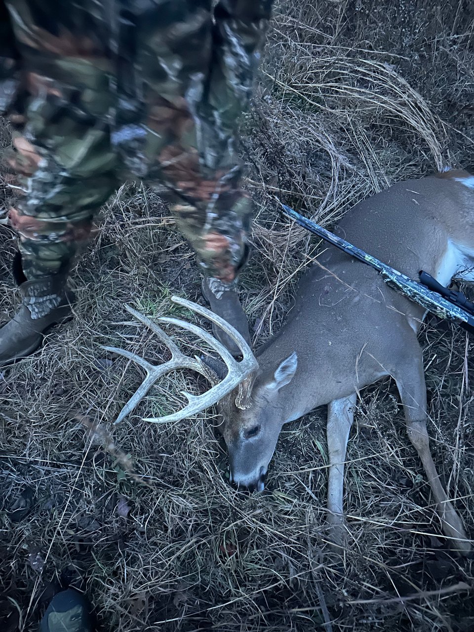 Hunting land with house in Tennessee
