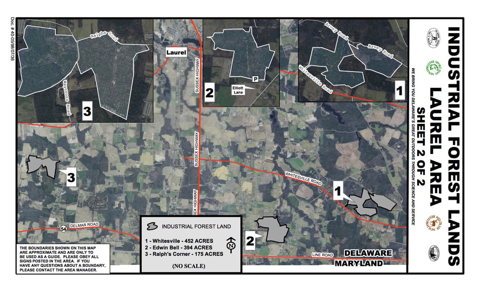 Industrial Forest Lands - Laurel Area