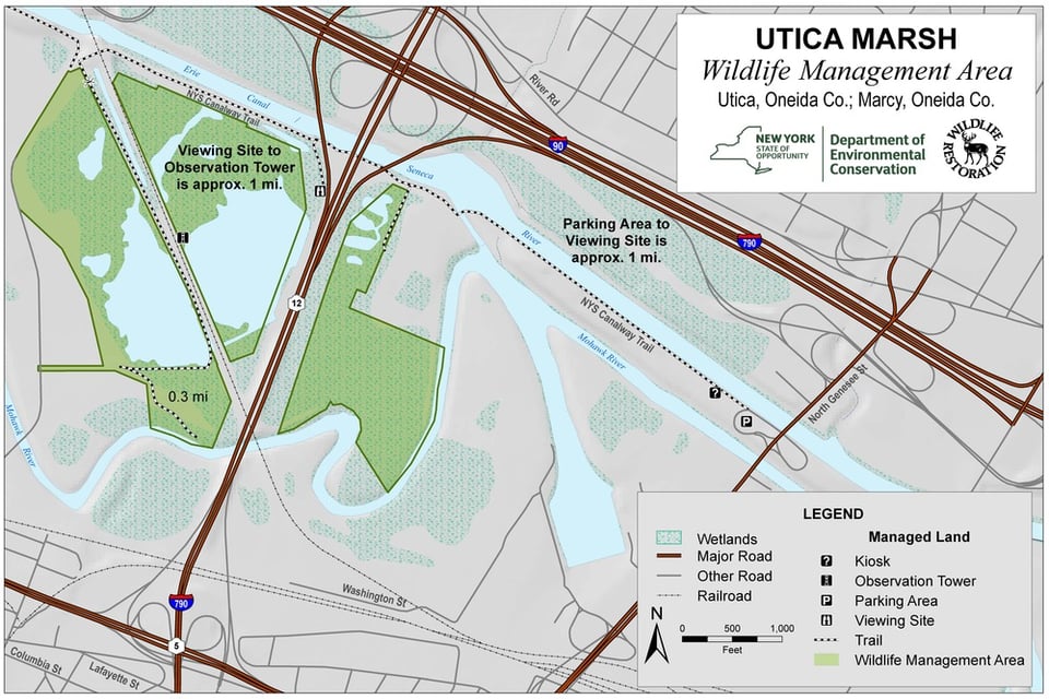 Utica Marsh Wildlife Management Area