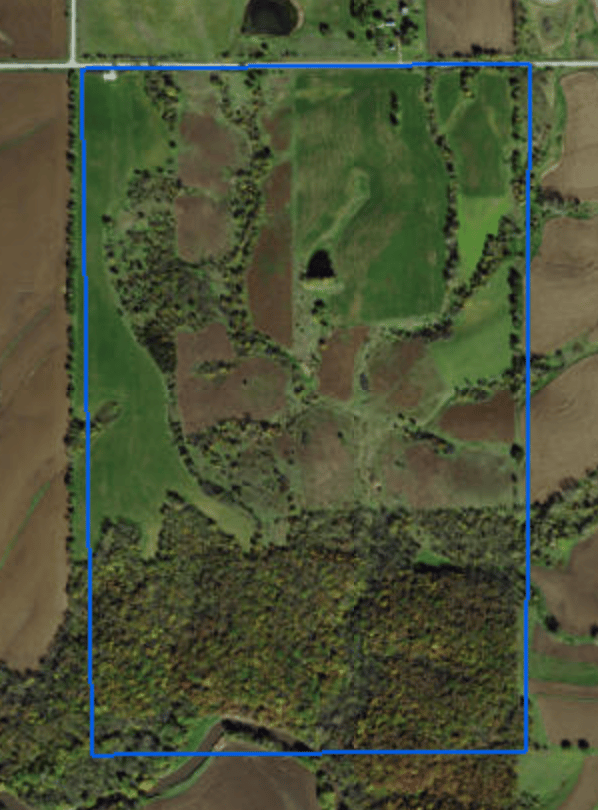 WRIGHT TIMBER WILDLIFE AREA