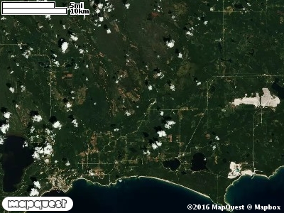 Seney Manistique Swamp