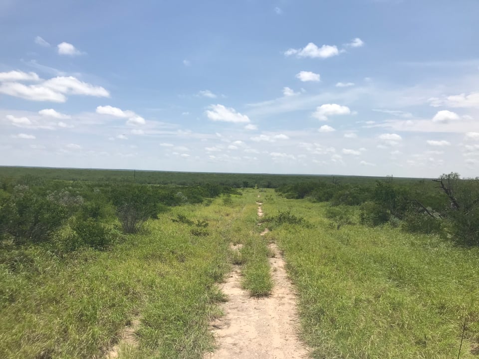 HLRBO Hunting Lease - 2750 acres in Starr County,TX