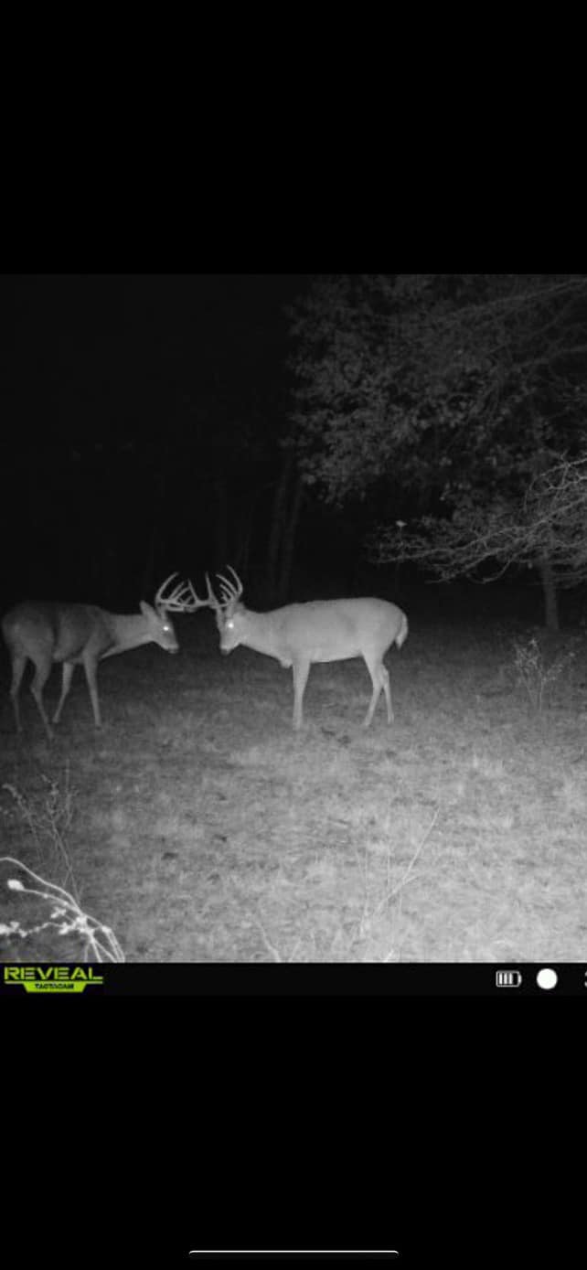 HLRBO Hunting Lease 232 acres in Osage County,Kansas