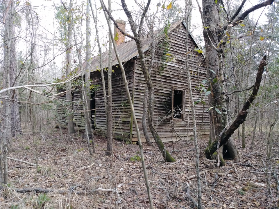 HLRBO Hunting Lease 89 acres in Sumter