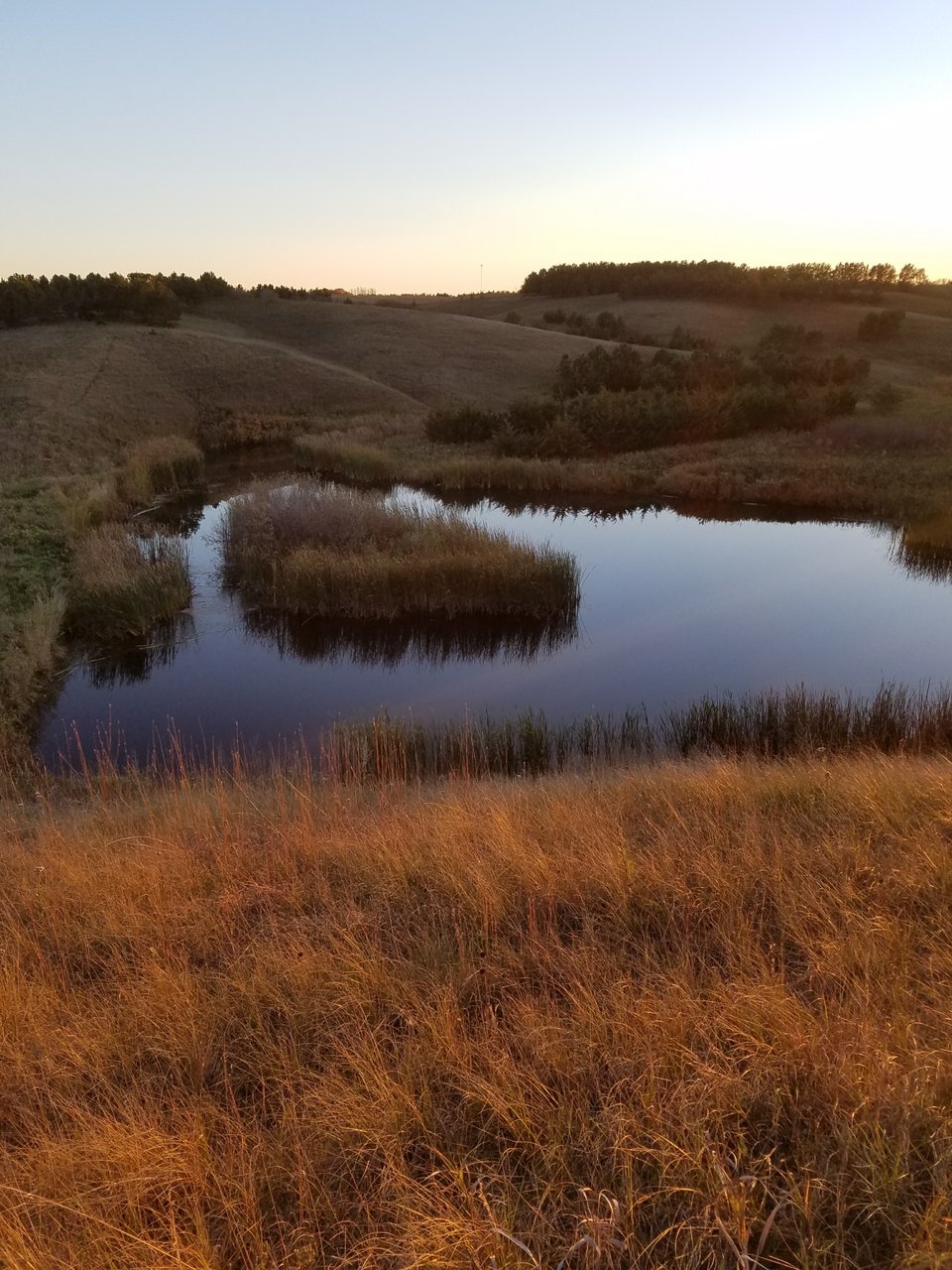 HLRBO Hunting Lease 700 acres in LaMoure County,North Dakota