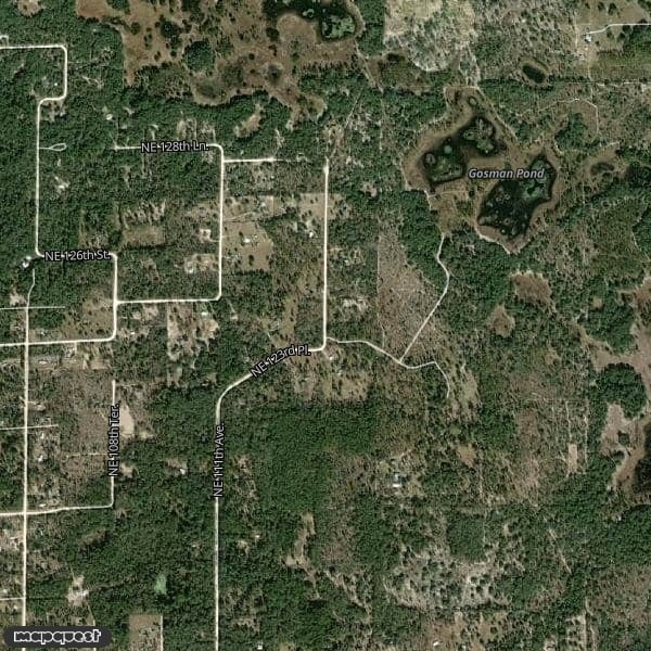 HLRBO Hunting Lease 550 acres in Levy County,Florida