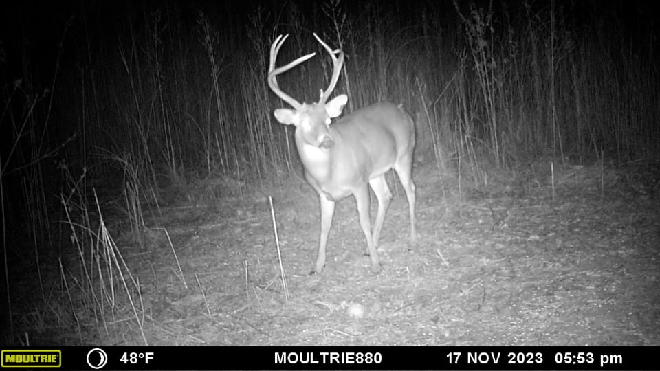 Molpus Hunting Leases - dxj9t7o