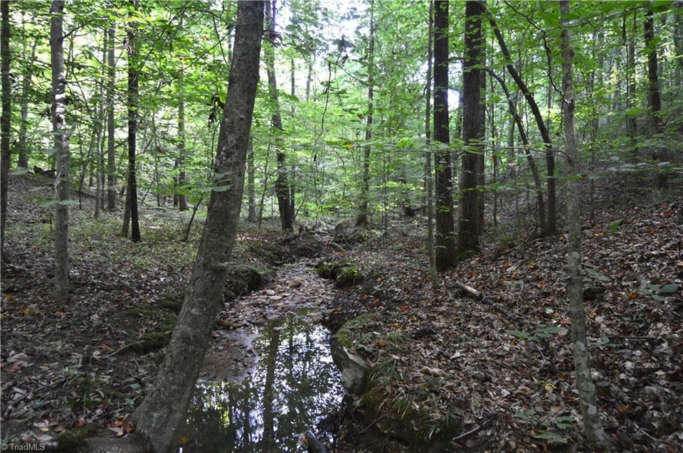 HLRBO Hunting Lease 200 acres in Columbus County,North Carolina