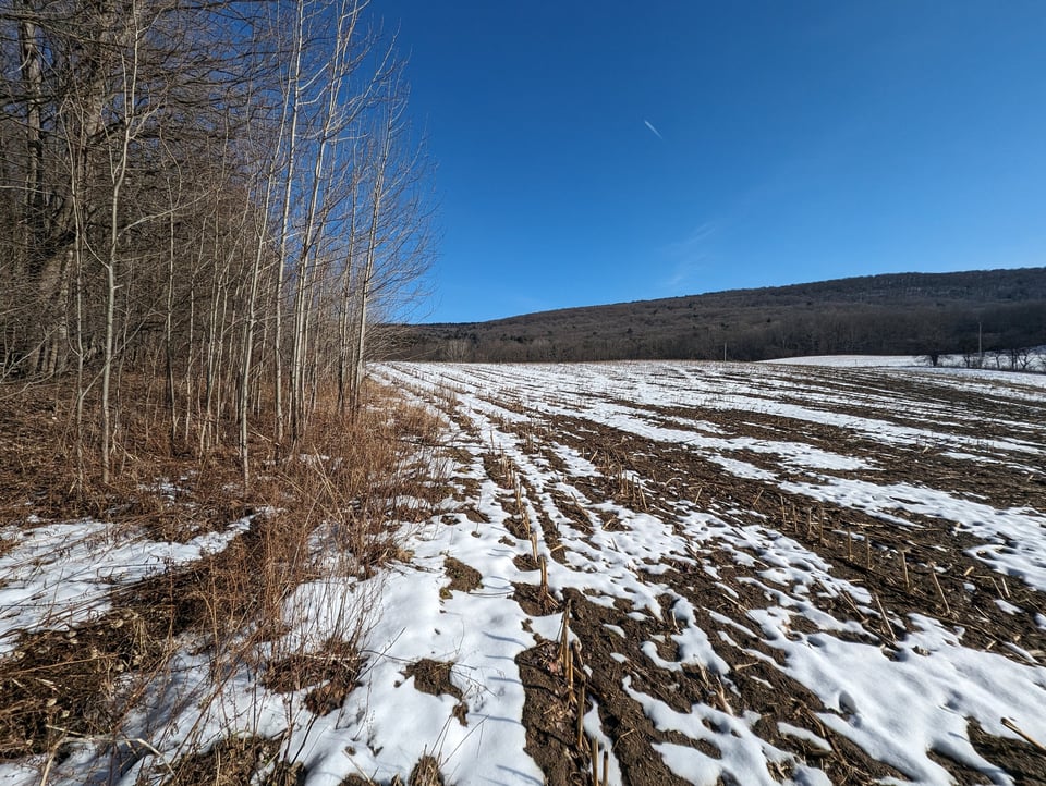 HLRBO Hunting Lease 63 acres in Cortland County,New York