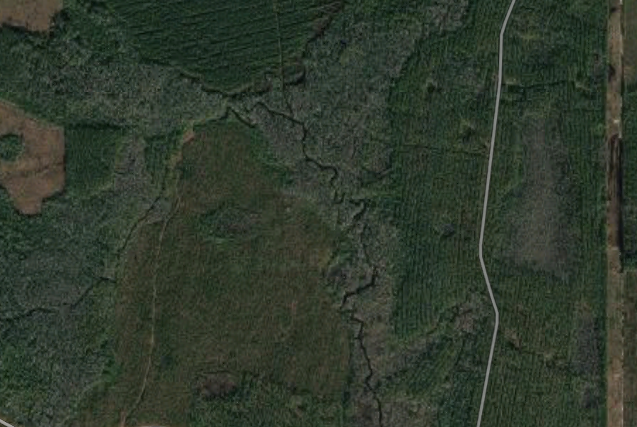 HLRBO Hunting Lease 300 acres in Brantley