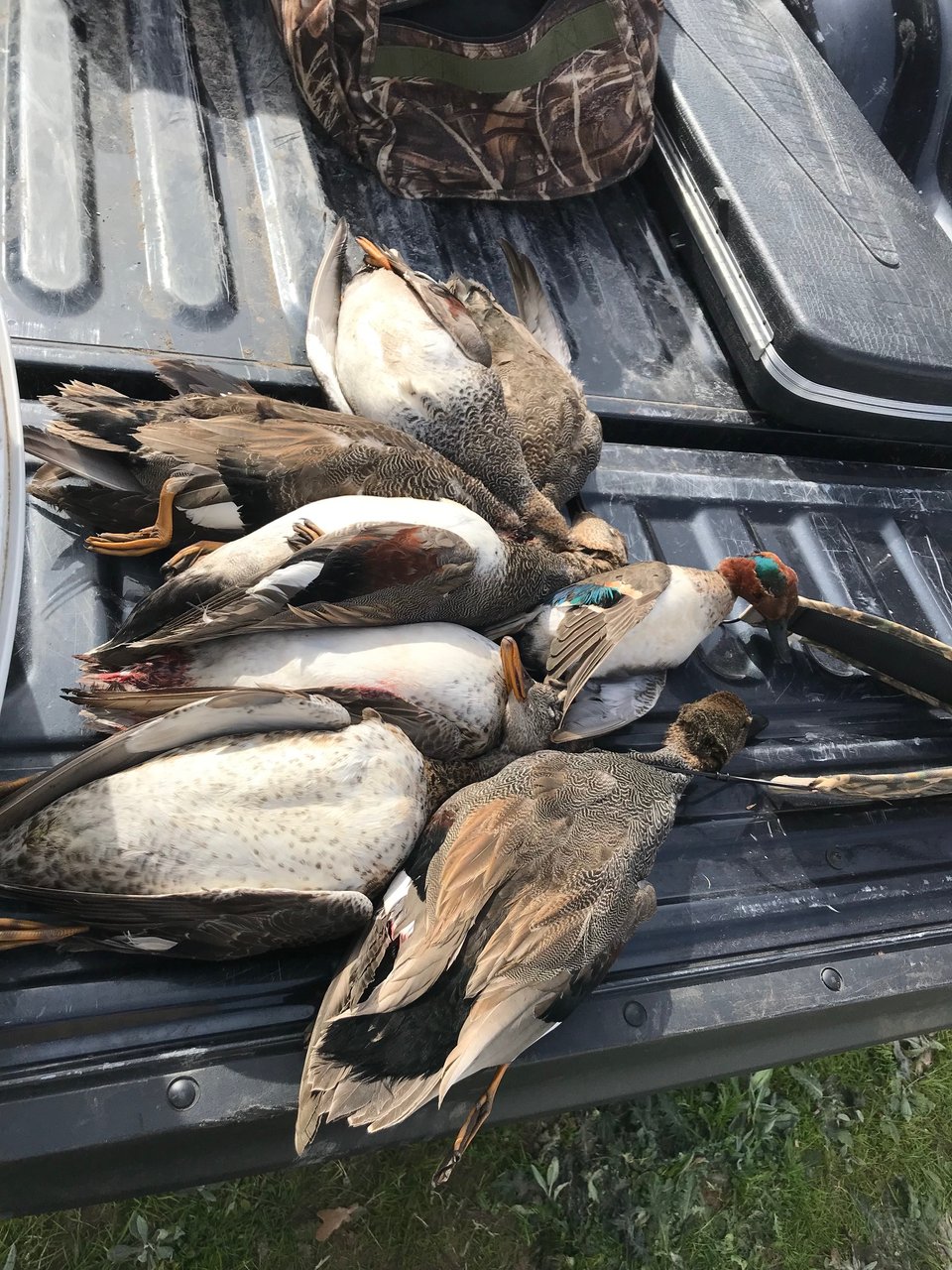 HLRBO Hunting Lease 950 acres in Milam County,Texas