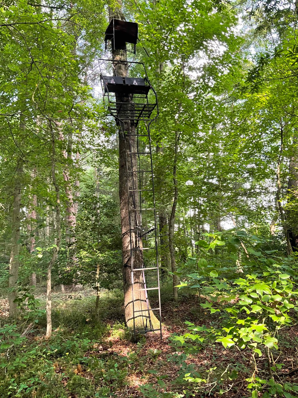 HLRBO Hunting Lease 125 acres in County,Maryland