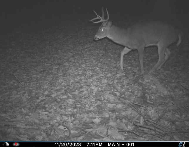 HLRBO Hunting Lease 60 acres in Broome County,New York