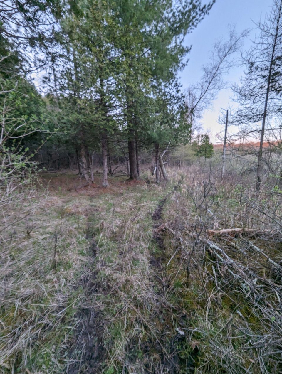 HLRBO Hunting Lease 70 acres in St. Lawrence County,New York